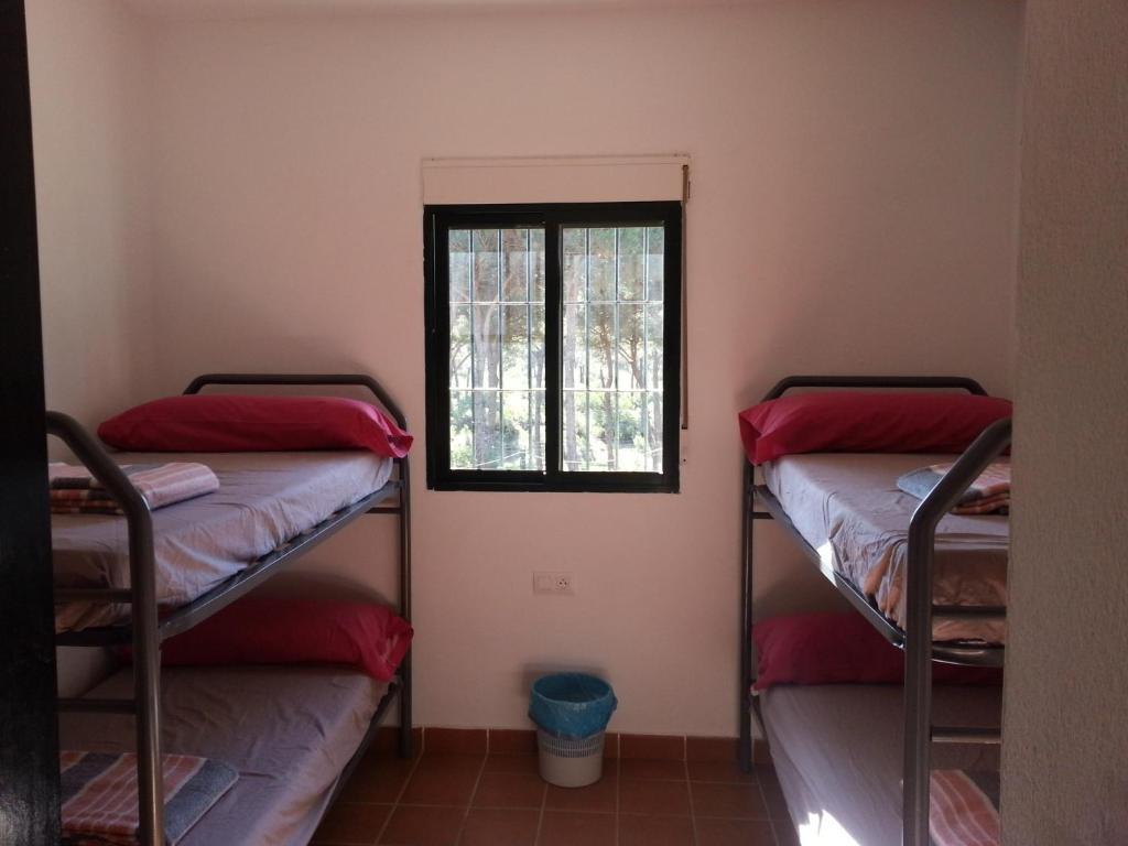 Albergue Rural Territorio Del Gato เอลรอมปิโด ห้อง รูปภาพ